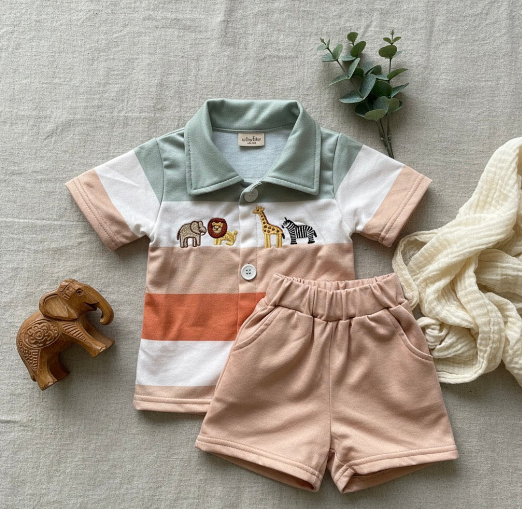 Boys Zoo Day Outfit