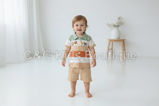 Boys Zoo Day Outfit
